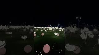 Flower Festival 2024 at Jahili Park Al Ain UAE [upl. by Hama]