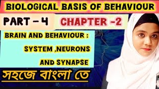 Biological basis of behaviour ✓ 🥰  Neuron synapse system 😃 bscnursing viralvideos [upl. by Rosenwald70]