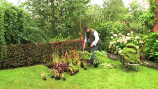 Ivo Pauwels plant een nieuwe border aan een ware symfonie van bloemen [upl. by Letnuhs]