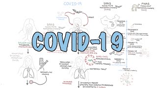 COVID19 a visual summary of the new coronavirus pandemic [upl. by Wawro]