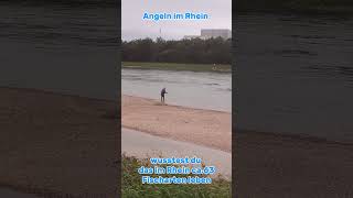 Angeln im Rhein angelsport angeln fischen fische rhein [upl. by Arie517]