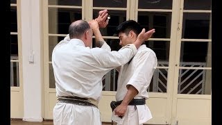 One Minute Bunkai Kusanku 1 [upl. by Kacy]