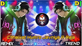 Chhalkat Humro Javniya A Raja  Dj Remix 2024❤️‍🔥 Trending Songs💗  New Dj Songs 2024  Bhojpuri Dj [upl. by Baldridge]