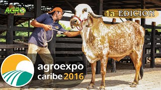 AGRO EXPO CARIBE 2016  1a EDICIÓN [upl. by Olin]