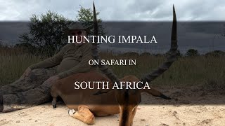 Hunting Impala in KwaZuluNatal with Safari Quest Outfitters [upl. by Coveney]