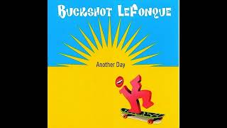 Buckshot Lefonque  Another Day [upl. by Manfred]