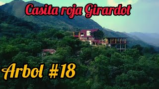 🌲18 casita roja Girardot [upl. by Noryt124]