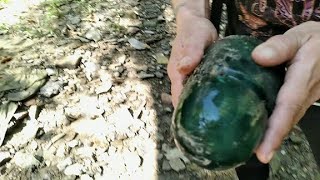 NICE GLASS INSULATOR FINDS IN THE CREEK [upl. by Berri]