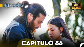 Pájaro Soñador Capítulo 86 Doblado En Español 4K [upl. by Assitruc53]