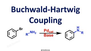 BuchwaldHartwig Coupling [upl. by Acillegna]