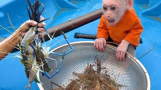 Baby monkey Jic Jic and his father rowed a boat to the lake to catch shrimp [upl. by Fagin]