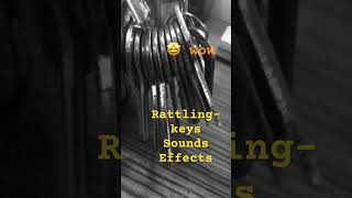 The sounds of keys 🔑 Jingling satisfying asmr sounds trending viralvideo shorts [upl. by Hofmann]