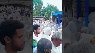 ethiopia orthodox tewahido mezmur ambo kidanemihiret [upl. by Anahgem]