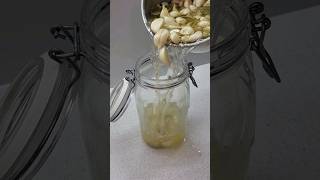 Czosnek marynowany czosnek garlic knoblauch чеснок [upl. by Yrdua]