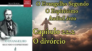 O divórcio  Capítulo 222  Evangelho Segundo o Espiritismo  Audiobook [upl. by Manella806]