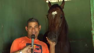 ✔️Iván DÍAZ y José BELTRE 🏇 Clásico Francisco del Rosario Sánchez🏆  La Previa [upl. by Aicenat310]