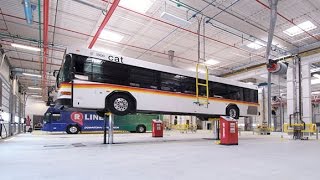 GoRaleigh bus Garage Tour [upl. by Yllehs]