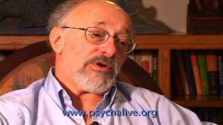 Dr Allan Schore on hypoarousal hyperarousal dissociation and the inability to take in comfort [upl. by Llirpa]