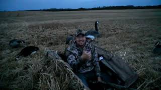 Goose Hunting in Alberta 2024  Mini Series  Episode 1 [upl. by Gregrory274]