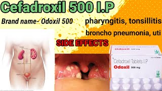 cefadroxil 500 ip  Odoxil 500 mg tablet pharyngitis tonsillitis bronchopneumonia uti infection [upl. by Tichon]