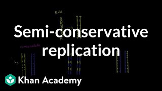 Semi conservative replication  Biomolecules  MCAT  Khan Academy [upl. by Eupheemia822]