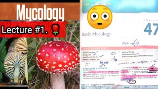 Basic mycology 🛑 LECTURE 1 Chap 47 Difference between fungi and bacteria hyphaeyt Lab diagnosis [upl. by Kristoforo10]