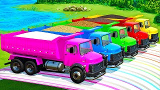 LOAD AND TRANSPORT CANOLA SUGAR CANE POTATOES LIME amp OLIVES WITH MERCEDES TRUCKS  FS22 [upl. by Acirrehs619]