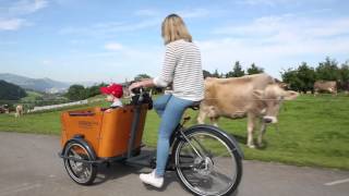 Introduction Babboe Mountain Cargobikes [upl. by Idolem]