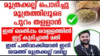 മൂത്രക്കല്ല് പൊടിച്ചു മൂത്രത്തിലൂടെ പുറം തള്ളാൻ ഇത് ഒരൽപ്പം വെള്ളത്തിൽ ഇട്ട് കുടിച്ചാൽ മതി [upl. by Cassaundra]