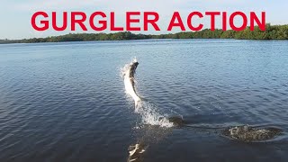 Tarpon Gurgler Action [upl. by Anirdna]