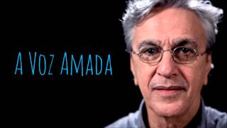 A Voz Amada  Caetano Veloso [upl. by Arlen]