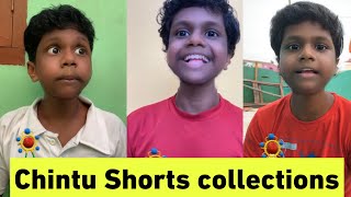 Chintu Shorts collection  Velu jazz  Fault Family [upl. by Garik184]