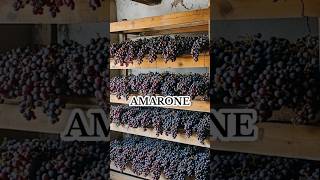 Amarone Şarabı şarap [upl. by Dina]