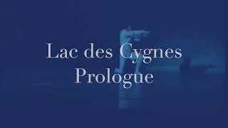 1 Prologue Lac des cygnes [upl. by Mandler]