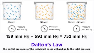 Daltons Law and Partial Pressures [upl. by Rednaeel369]