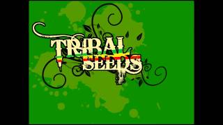 Tribal Seeds  Dawn of Time [upl. by Llerot]