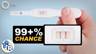 How Do Pregnancy Tests Work [upl. by Arnuad265]