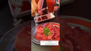 【Vlog】埼玉県南浦和のリーズナブルな焼肉食べて来た（マナマナ） [upl. by Arrimat]