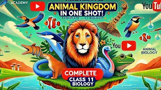 Animal Kingdom NCERT Class 11 Revision UPSC NEET ampmore [upl. by Magdalena]