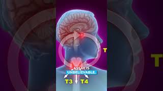 Is the diagnosis of hypothyroidism made clinically or via laboratory testing pt 2 [upl. by Lletram]