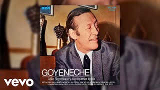 Roberto Goyeneche  Camouflage Official Audio [upl. by Aicekat]