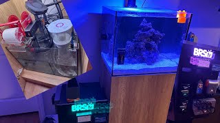 Unveiling the Secret to a Perfect Reef Tank Waterbox 602 Part 1 [upl. by Wallace]