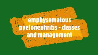 Emphysematous pyelonephritis  Classes 1 to 4management for md residents [upl. by Anurb981]