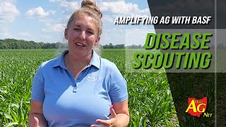 Amplifying Ag with BASF July disease scouting [upl. by Hazeefah]