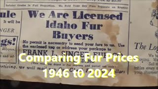 Comparing Fur Prices 1946 2024 [upl. by Lamrej]