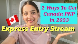 How to obtain a Canadian Provincial Nomination pnpcanada canadaimmigration [upl. by Reivazx488]