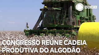 Congresso reúne cadeia produtiva de algodão [upl. by Stafford836]