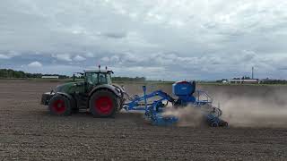 Lemken Solitair 9 6m Wheat sowing 2024 Japan [upl. by Anaylil]