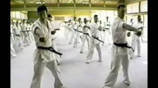 Kyokushin Karate  Best Technique King of Technic Part III [upl. by Mountford357]