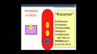 Learn Acid Base Understanding Acidosis and Hyperkalemia [upl. by Nylssej]